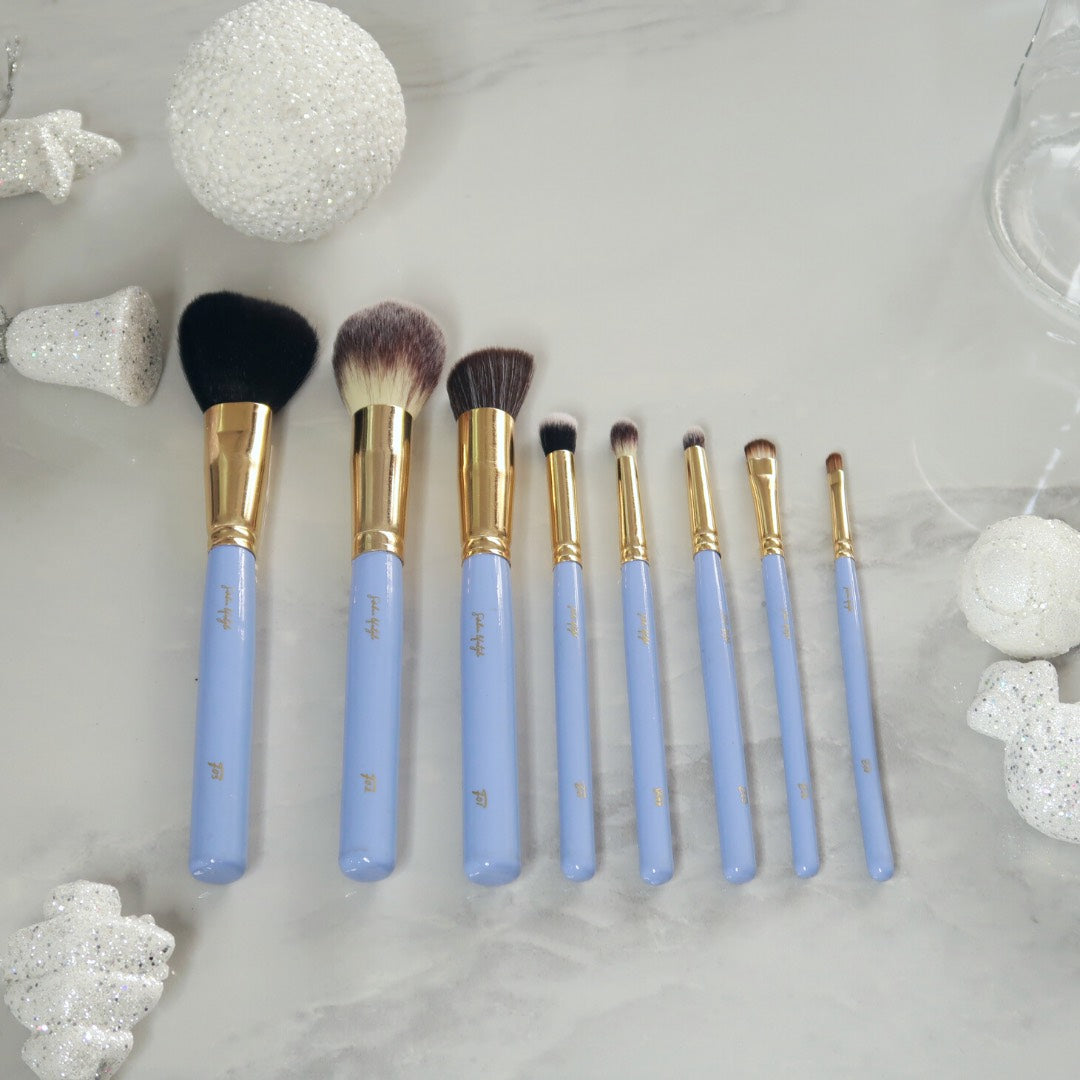 The Basic Bae Set- 8 Brush Set