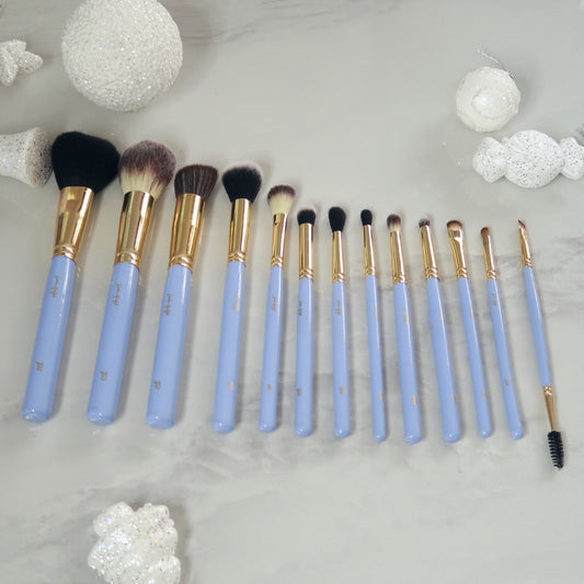 The Master Blend Set- 13 Brush Set